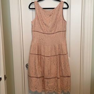 Eliza J Fit & Flair Blush Lace Dress